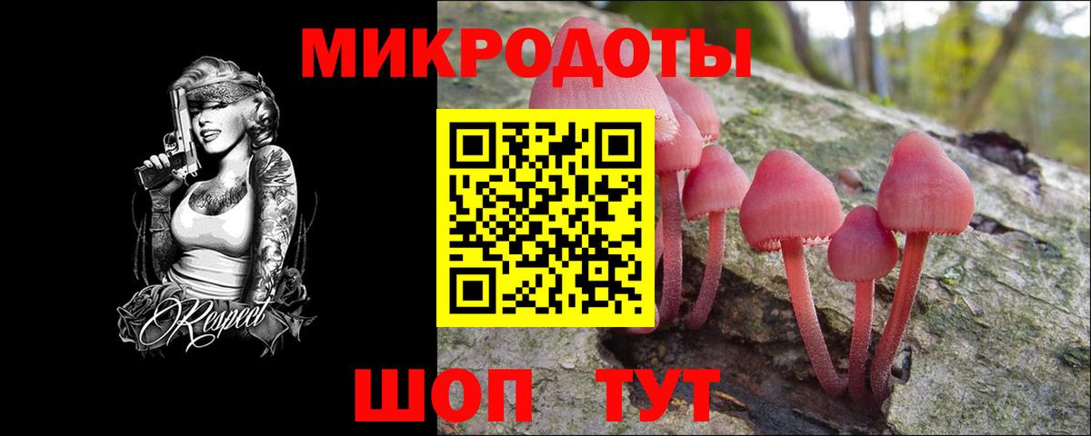 Псилоцибиновые грибы прущие грибы Соль-Илецк