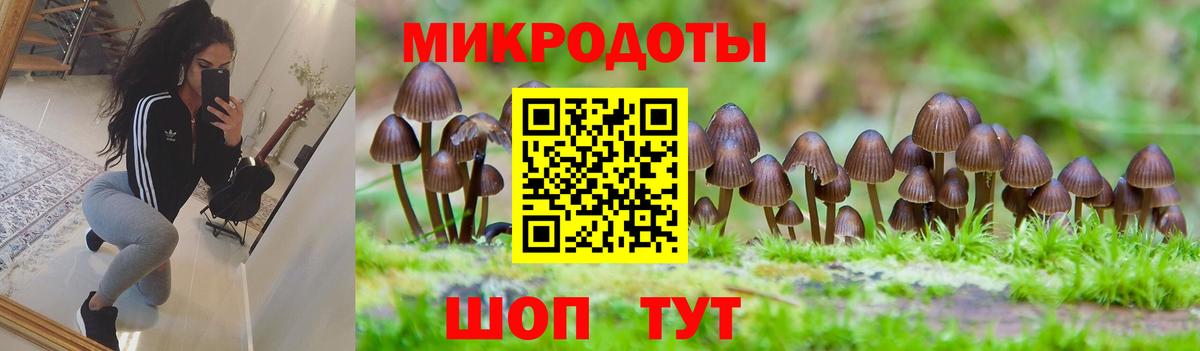 Соль-Илецк  Псилоцибиновые грибы прущие грибы  Галлюциногенные грибы ЛСД  Вход с VPN 